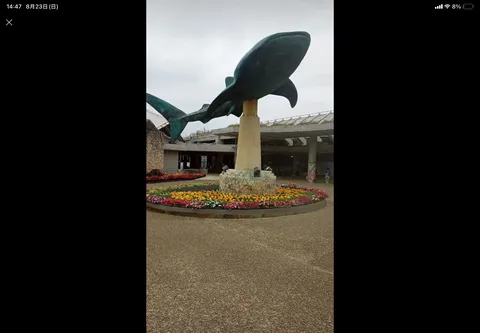 空飛ぶクジラ、夢への入り口