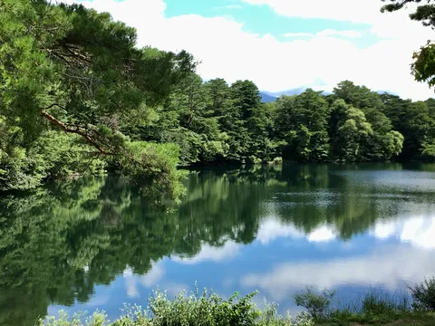 森と水の静かな鏡
