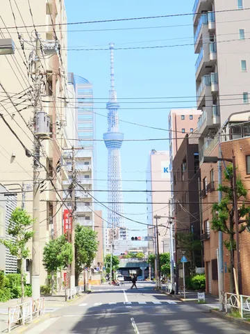 電線とスカイツリーのコントラスト
