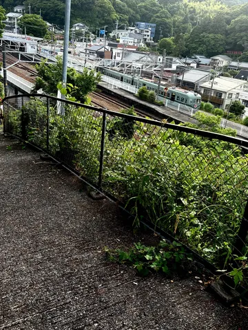 緑と鉄路の交差点