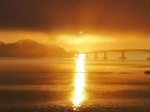 水面に映る黄金の架け橋