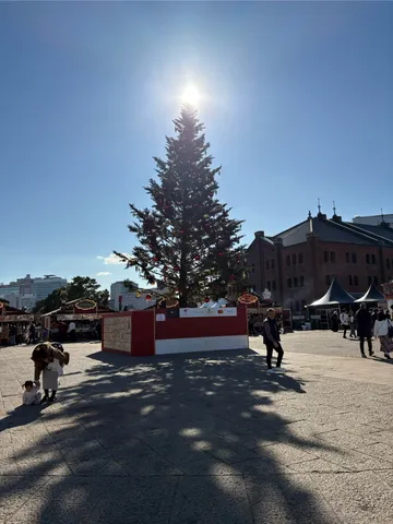 冬空に輝くクリスマスツリー