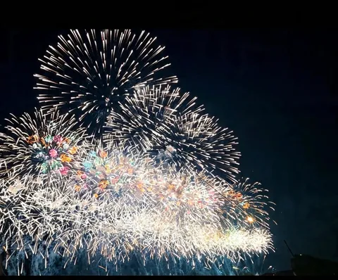 花火の夜空に浮かぶ輝き