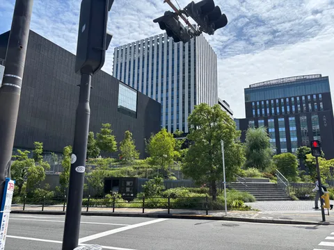 緑と都市のコントラスト