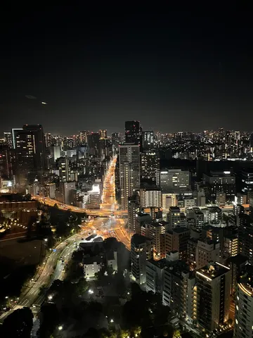 この光、電気代が気になっちゃう夜