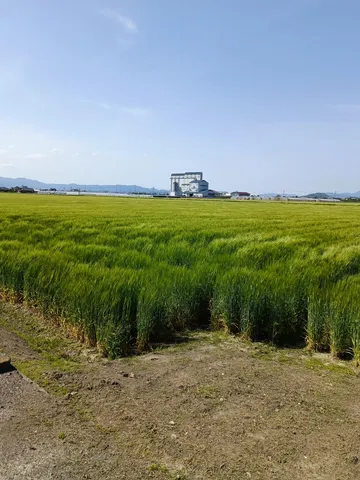 広がる緑、そびえる工場