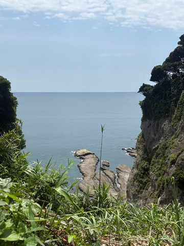 海と断崖、草木のコントラスト