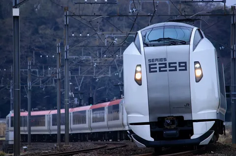 「SERIES E259」が主役の舞台