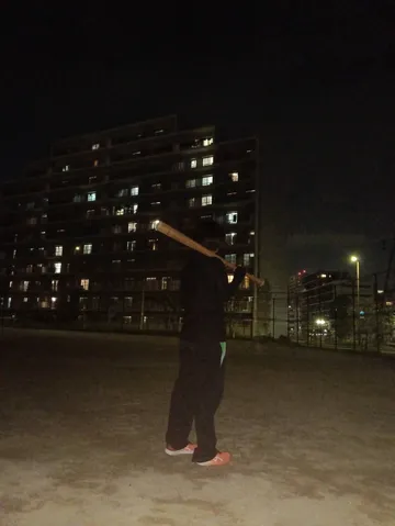 夜のバットとマンション