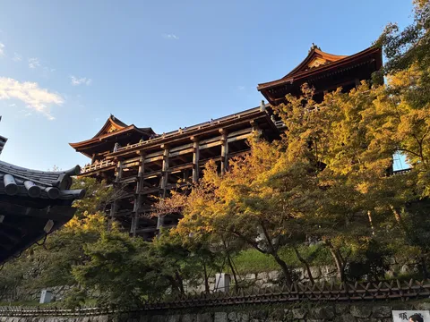 木漏れ日と古刹の佇まい