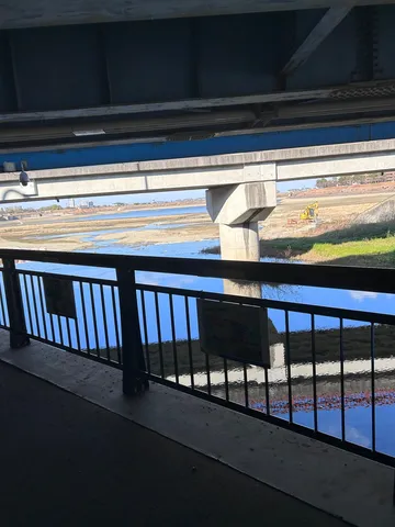 橋下の水辺の風景