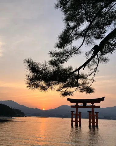松が見守る夕暮れの鳥居