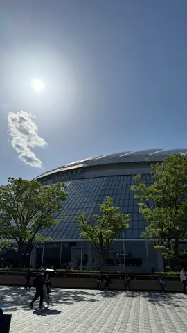 太陽とドームと緑のコントラスト
