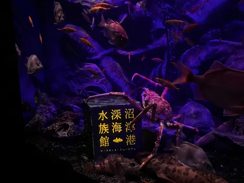 海と港の謎を照らす光