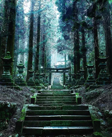 森深く、苔むす石段の道