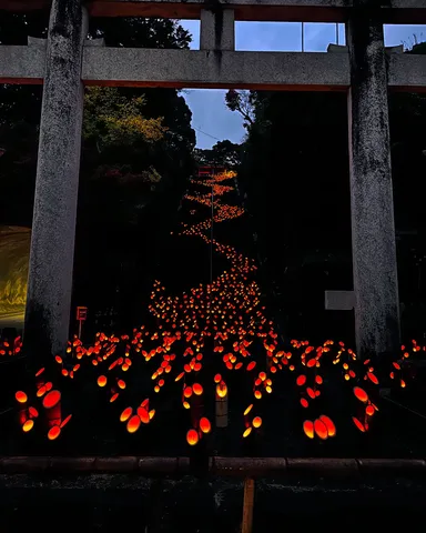 光の階段、幻想の参道