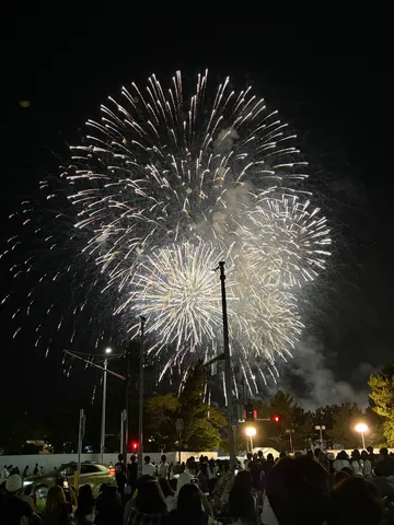 夜空を彩る光の芸術