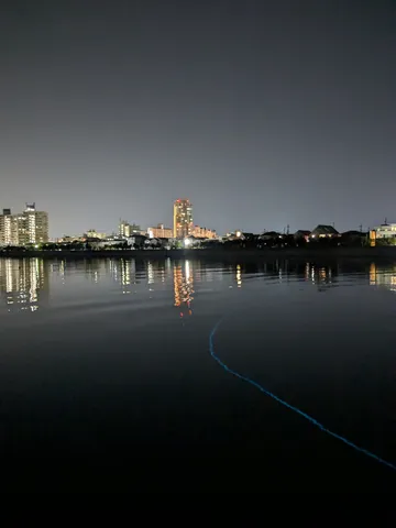 夜の水面に映る都会の灯り