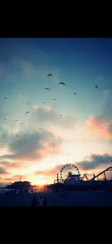 鳥たちが渡る夕暮れ