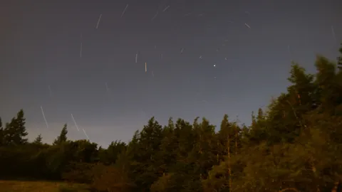 星の尾をなぞる夜の森