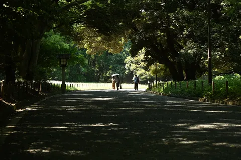 木漏れ日の道、二人連れ