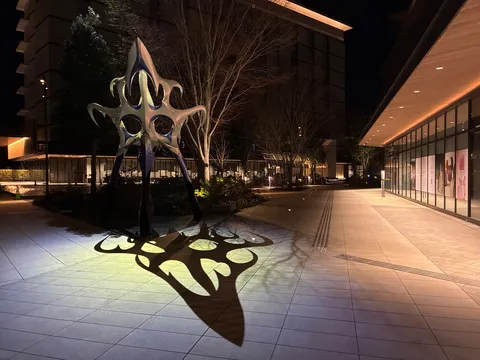 夜の彫刻が描く光のアート