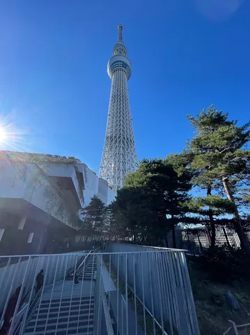 青空にそびえるタワーと緑のコントラスト