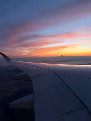 翼と夕焼けのグラデーション
