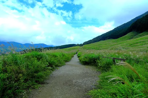 風景へ続く小径の余韻