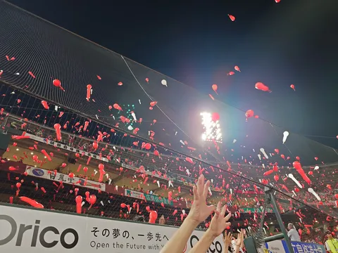 赤と白が舞う夜