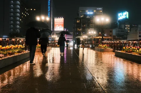 雨の街に灯る帰り道