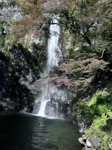 滝と虹の静かな瞬間