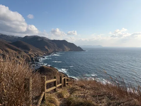 冬枯れの岸辺、紺碧の海