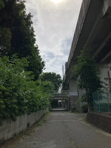 これは秘境ですか？