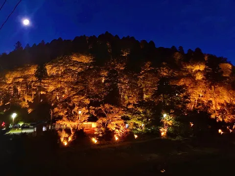 月夜に照らされる山の紅葉
