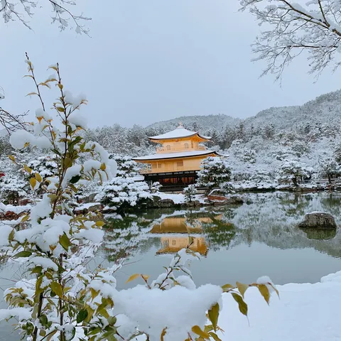 雪景に浮かぶ金色の寺院