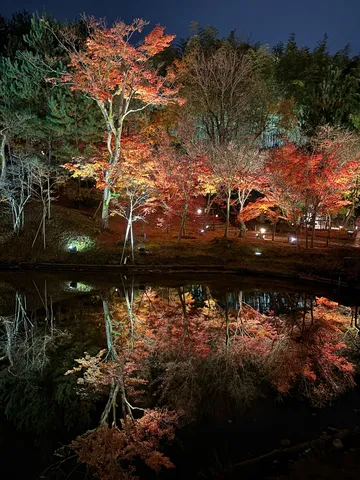 水面に映る紅葉の灯り