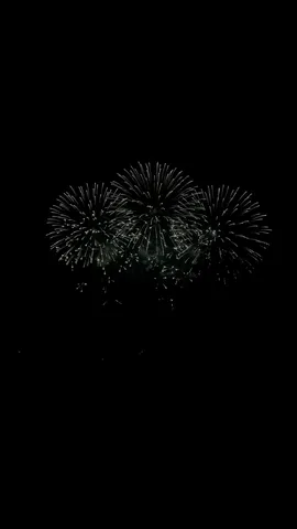 彼女との花火。