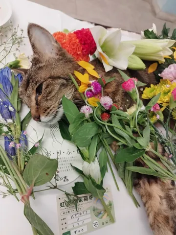 お花に包まれた、静かな別れ