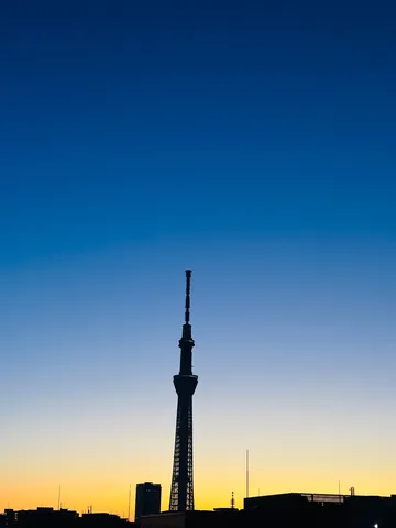 夕暮れにそびえるタワー