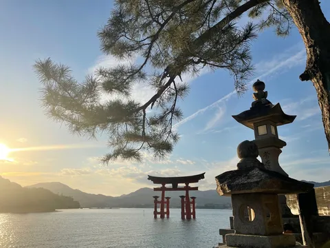 光を抱く枝、水上の朱き鳥居