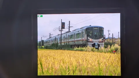 田園を駆ける現代の電車