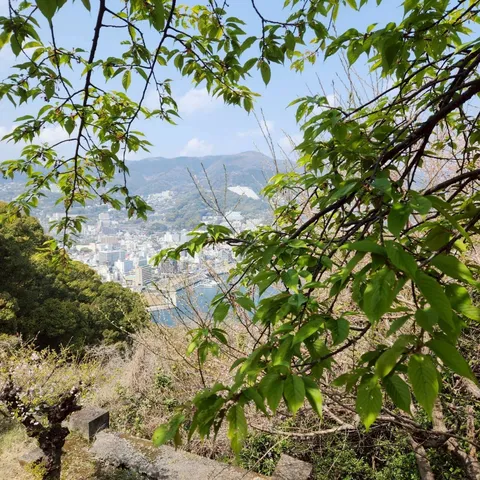 若葉越しの街並みと山々