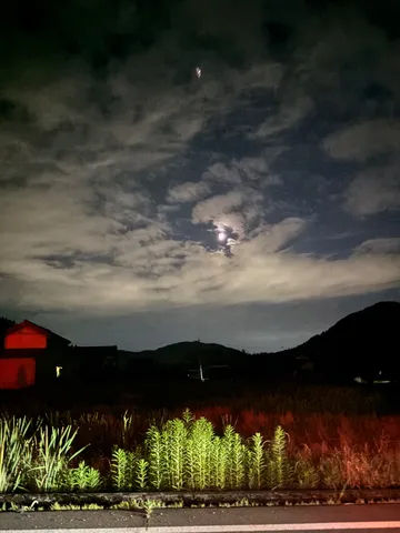 月明かりが照らす夜の道