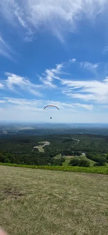 大空を舞う自由な時間