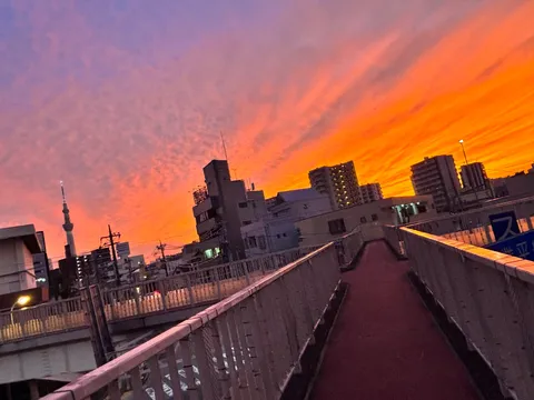 茜色に染まる街と歩道橋