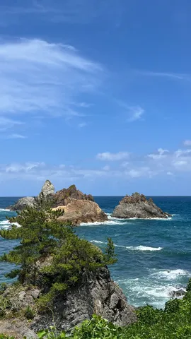 荒々しい海と孤高の岩々