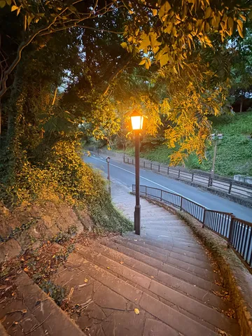 灯りの小道、石段の叙情
