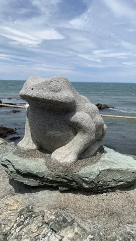 波打ち際を見つめるカエルさん