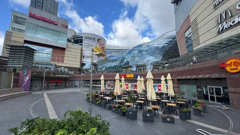 ガラス天井下の賑わい
